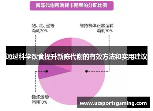 通过科学饮食提升新陈代谢的有效方法和实用建议