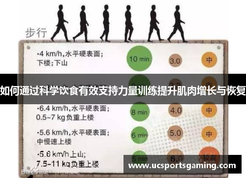 如何通过科学饮食有效支持力量训练提升肌肉增长与恢复