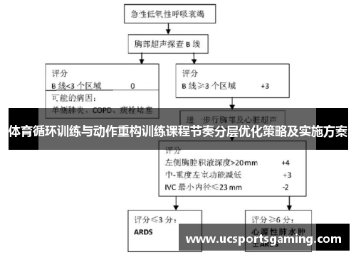 体育循环训练与动作重构训练课程节奏分层优化策略及实施方案