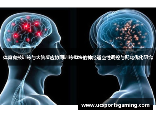 体育竞技训练与大脑反应协同训练模块的神经适应性调控与配比优化研究